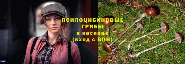 гидропоника Балахна
