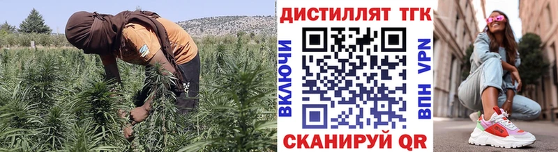 ТГК жижа  как найти закладки  Новоалександровск 