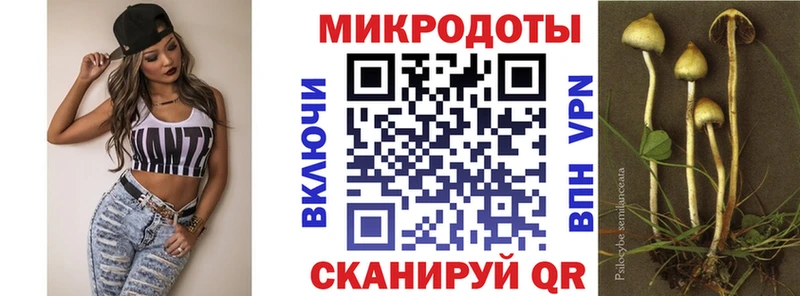 Псилоцибиновые грибы Cubensis Новоалександровск